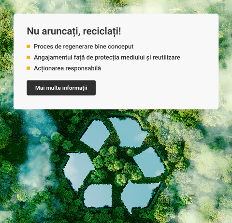 Serviciile RGB Elektronika
